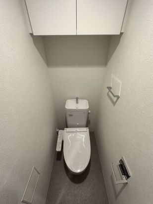 ＴＨＥ　ＰＡＳＥＯ新小岩Ⅱのトイレ