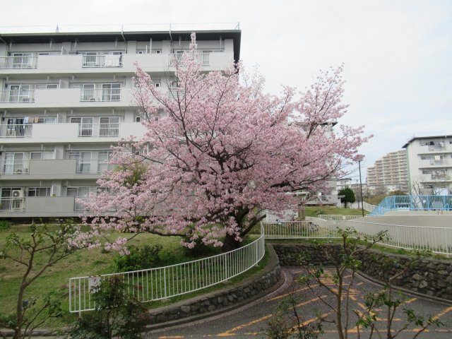 上高丸２ＤＫ健康寿命サポート住宅の展望