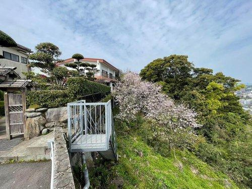 紫原1丁目　中古戸建ての外観|春は桜がきれいです。