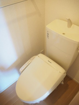 【その他】 | マレッサ