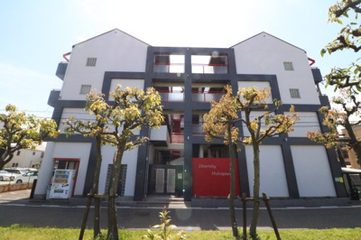 【周辺】 | ダイバーシティームコガワ