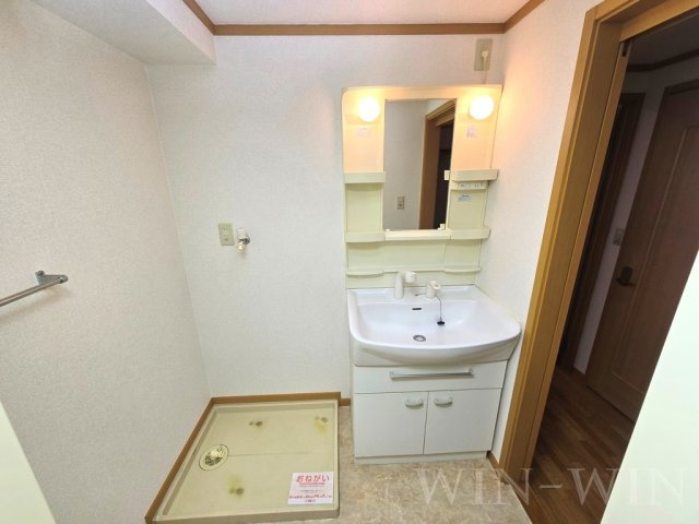 キャッスル本郷の洗面所