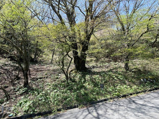 【外観】 | 東急天城高原　売地