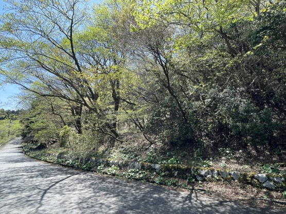 【外観】 | 東急天城高原　売地