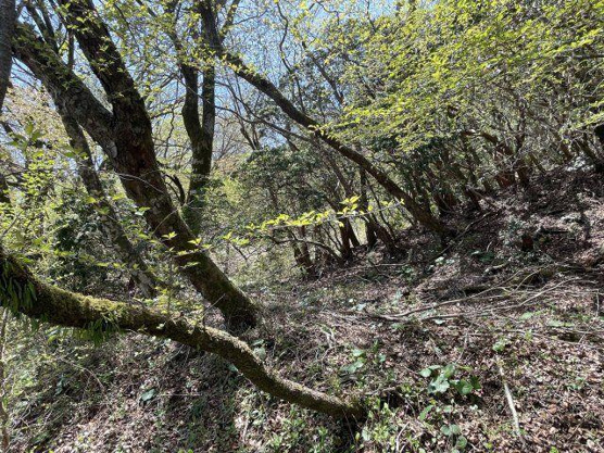 【外観】 | 東急天城高原　売地