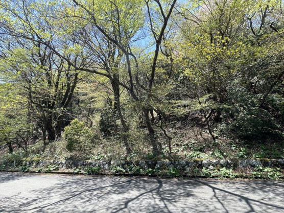 【外観】 | 東急天城高原　売地