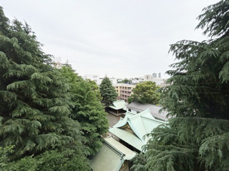 【展望】 | バルコニーからの景色です。～即日のご見学可能～　お問合せはお気軽にどうぞ。