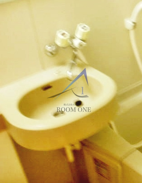 メゾンイーストの洗面所|洗面台です。