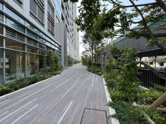 【その他共用部分】 | 緑豊かなアプローチ