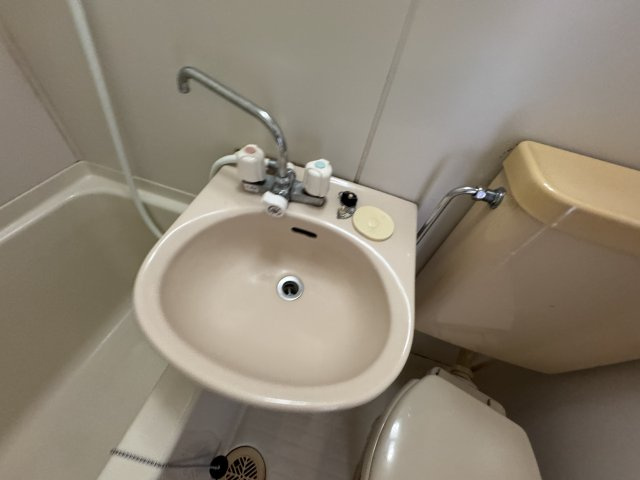 グランヴェルデ中桜塚の洗面所