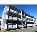 井吹東シティコート