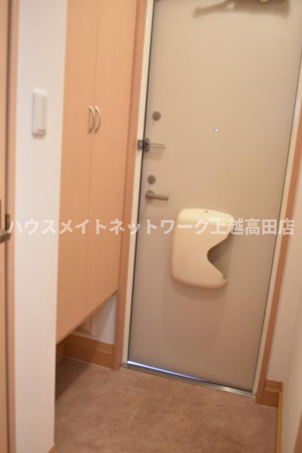 ロイヤルガーデン南城　Ａ棟の玄関|玄関