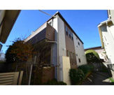 Ｙ’ｓｃｏｕｒｔの画像