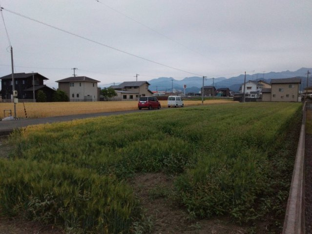 西条市丹原町池田1300-1　売土地の外観
