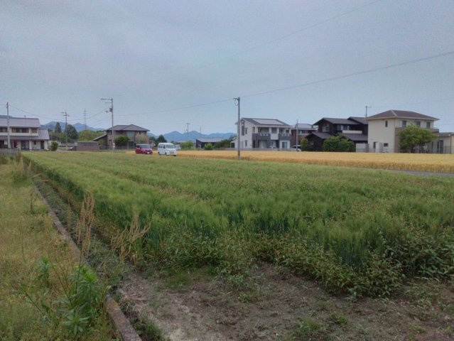 西条市丹原町池田1300-1　売土地の外観