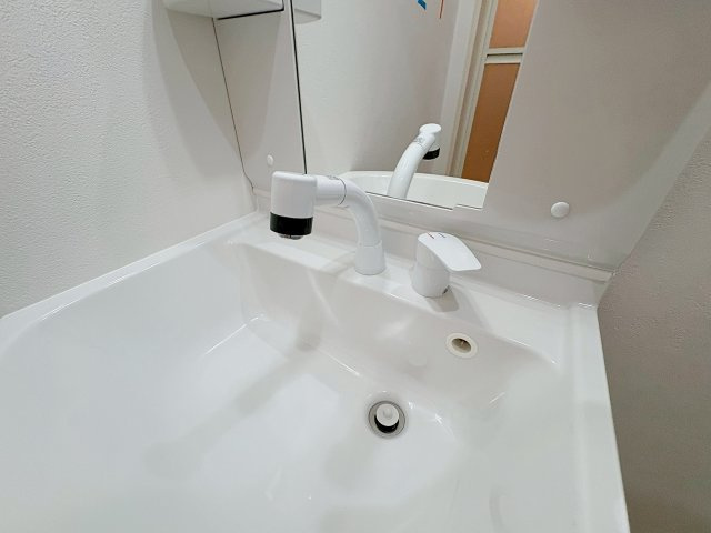 フジパレス宝塚小林Ⅲ番館の洗面所