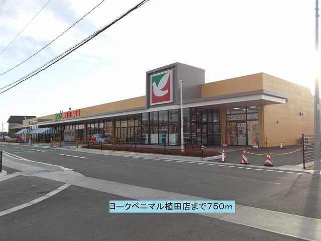 マリンシティＳＨＩＯＤＡ　Ｃの周辺|ヨークベニマル植田店まで750m
