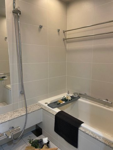 ザ・パークハウス晴海タワーズ ティアロレジデンスの浴室