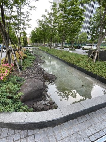 ザ・パークハウス晴海タワーズ ティアロレジデンスの中庭