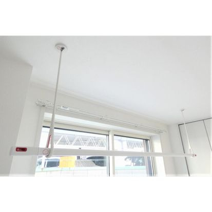 ステラ　アフィーテのその他