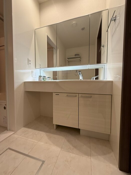 Ｄ－ＲＯＯＭ高須２丁目　A棟の洗面所