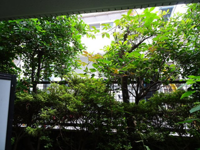 【展望】 | 菱和パレス西新宿