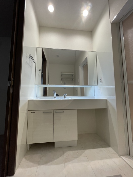 Ｄ－ＲＯＯＭ高須２丁目　B棟の洗面所