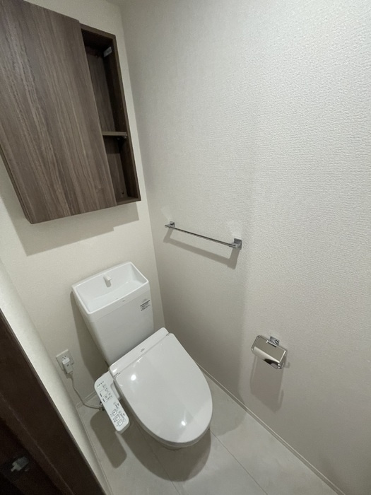 Ｄ－ＲＯＯＭ高須２丁目　B棟のトイレ