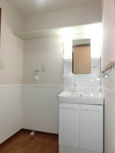 カーサ焼山中央E棟の洗面所