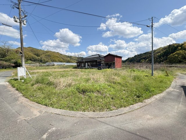 立花町白木売地