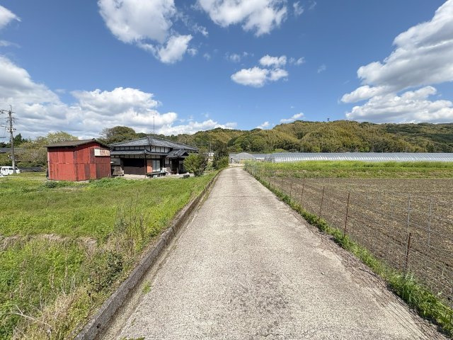 立花町白木売地