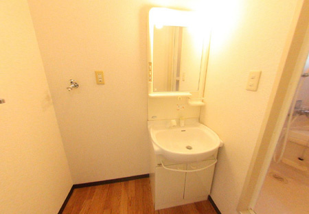 フレグランス川崎の洗面所|ゆったりとスペースのある洗面所