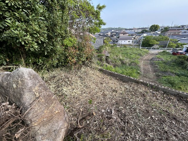 【その他】 | 草木売地
