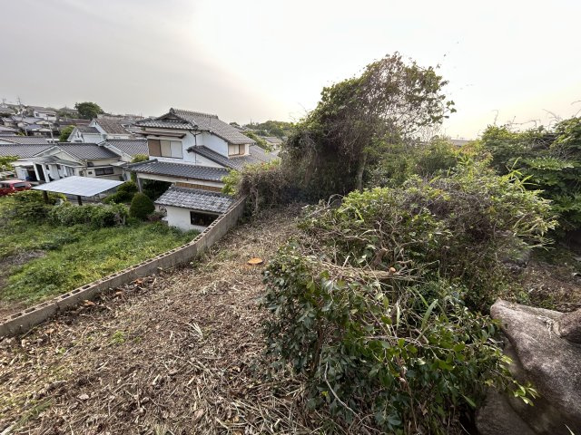 【その他】 | 草木売地