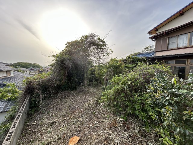 【その他】 | 草木売地