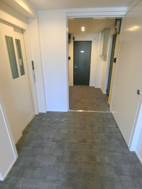 Ｈａｙｌｅｙ　Ｆａｍｉｌのその他共用部分