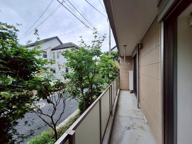 Ｈａｙｌｅｙ　Ｆａｍｉｌの展望