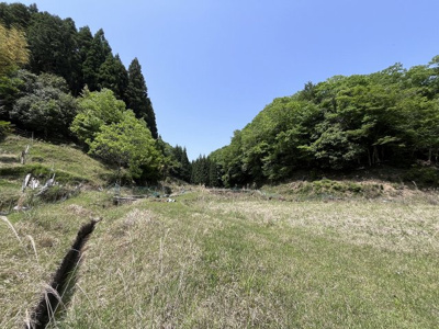 【外観】 | 丹波篠山市大藤　山林　2