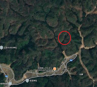 【周辺】 | 丹波篠山市大藤　山林　2