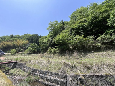 【外観】 | 丹波篠山市大藤　山林1