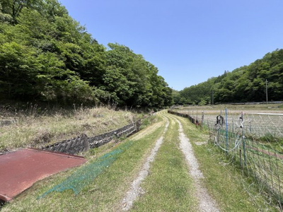 【周辺】 | 丹波篠山市大藤　山林1