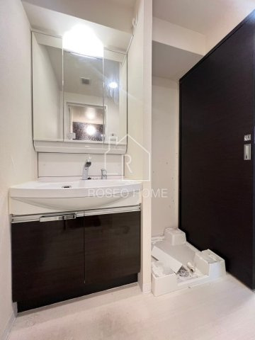 スワンズシティ大阪城ノースの洗面所