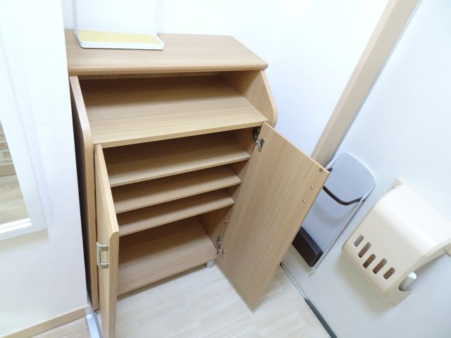 アベニューカサギ514の玄関