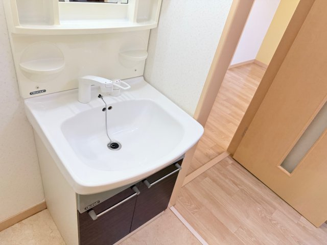 アベニューカサギ514の独立洗面台