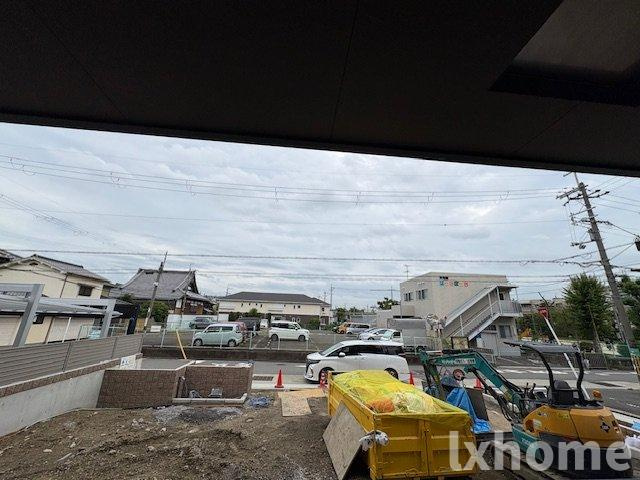 M. bonitoの展望