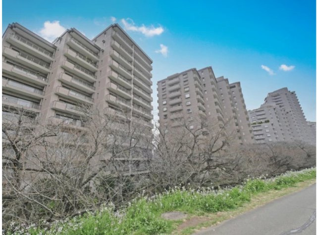 ★仲介手数料無料★パークハウス多摩川南弐番館（リフォーム済みになります）のその他