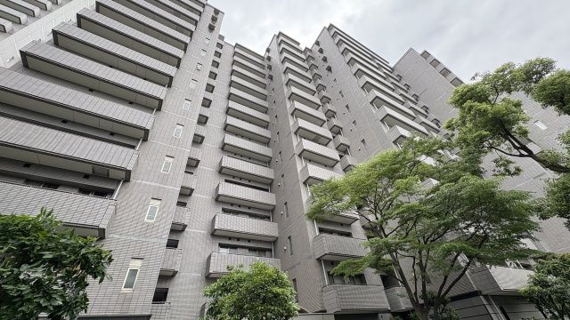 ★仲介手数料無料★パークハウス多摩川南弐番館（リフォーム済みになります）の外観