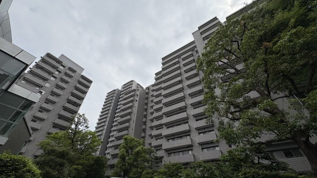 ★仲介手数料無料★パークハウス多摩川南弐番館（リフォーム済みになります）の外観