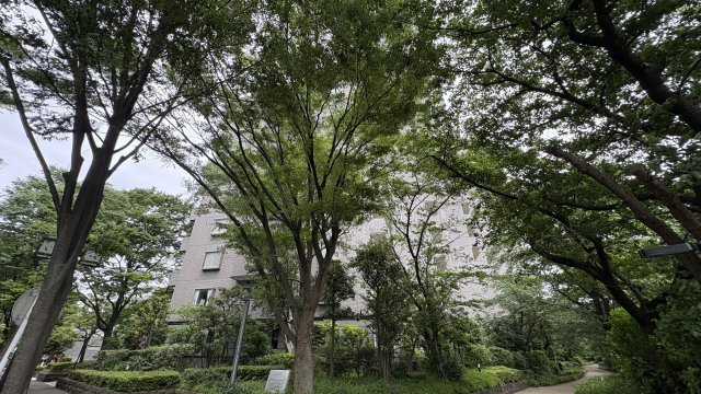 ★仲介手数料無料★パークハウス多摩川南弐番館（リフォーム済みになります）の周辺