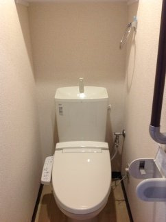 レオネクスト八重のその他